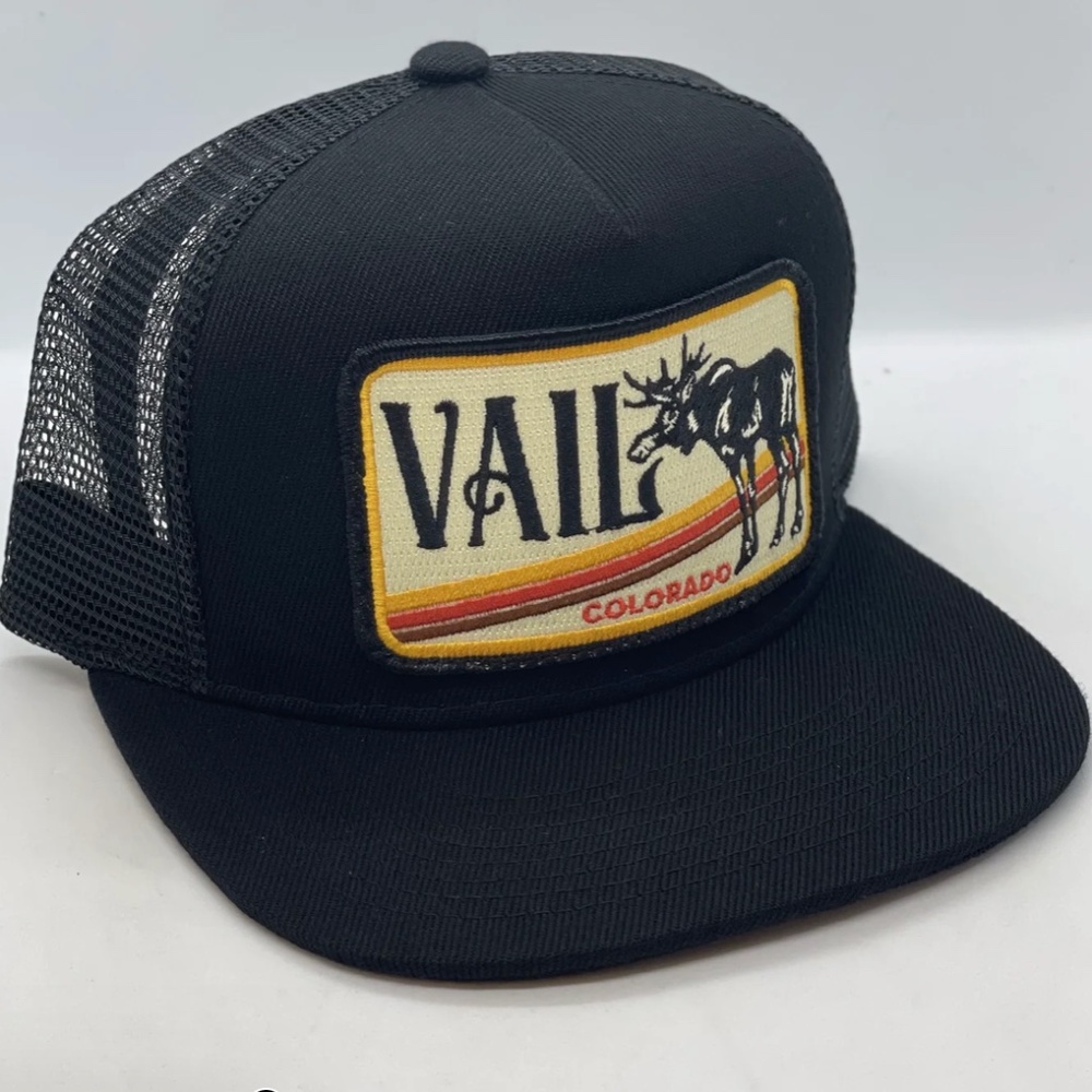 Bart Bridge Vail Flat Brim Hat NWT